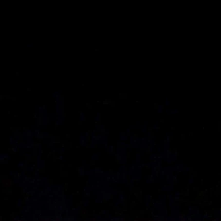 F8