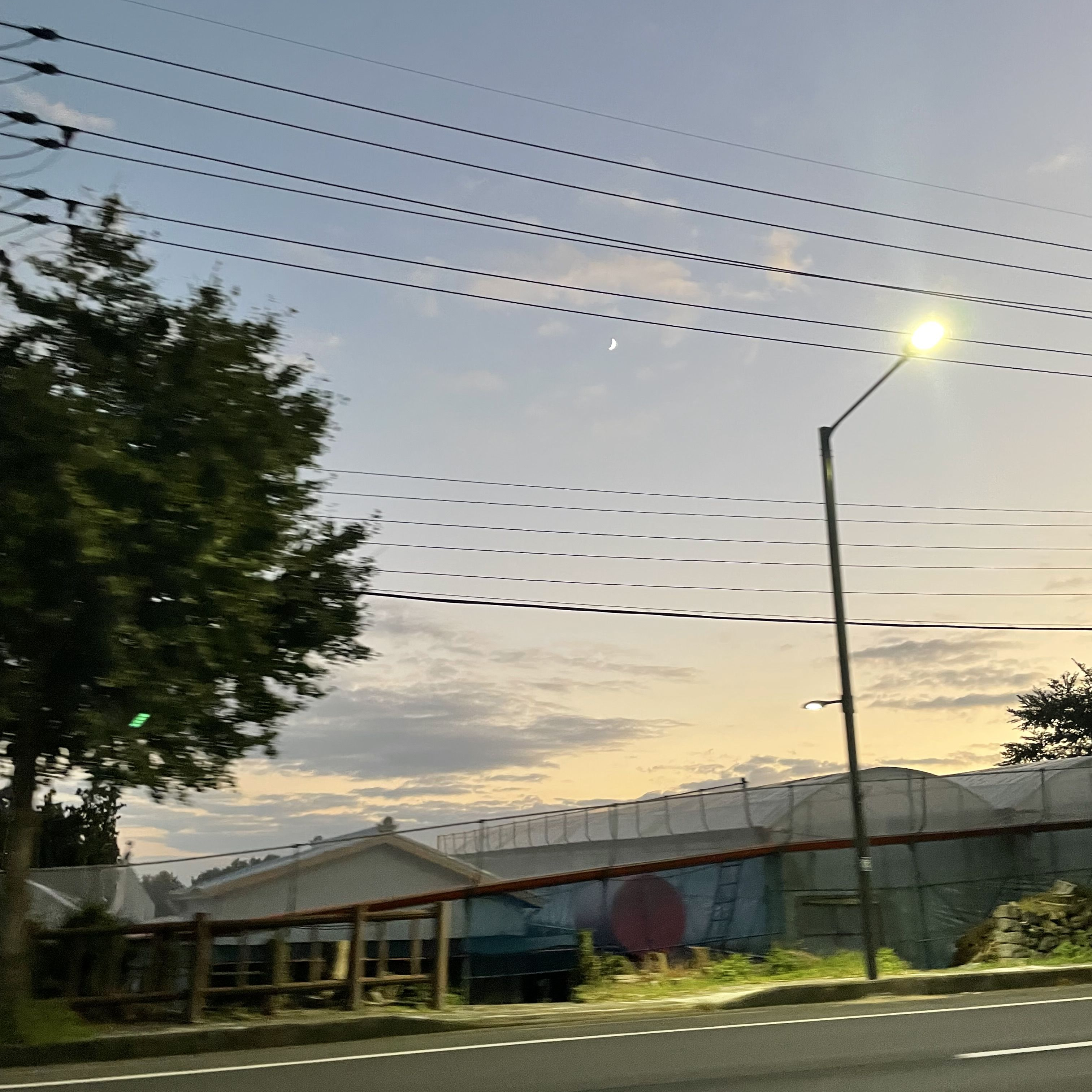 나 혼자 대표 이미지