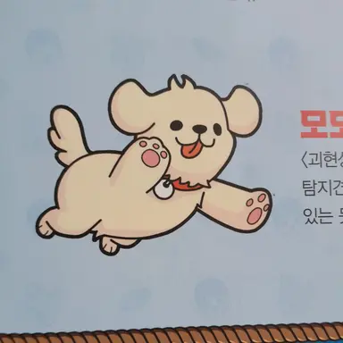 Profile image of 모모
