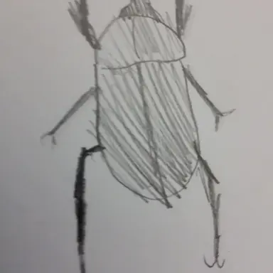 Profile image of 파피