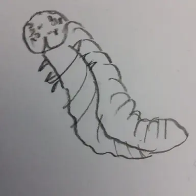 Profile image of 꼬물이