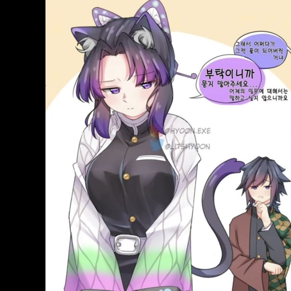 고양이 키우기 대표 이미지