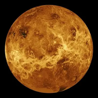 Profile image of 금성