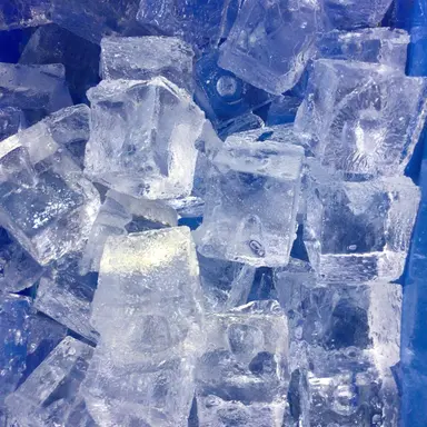 Profile image of 氷鷹零