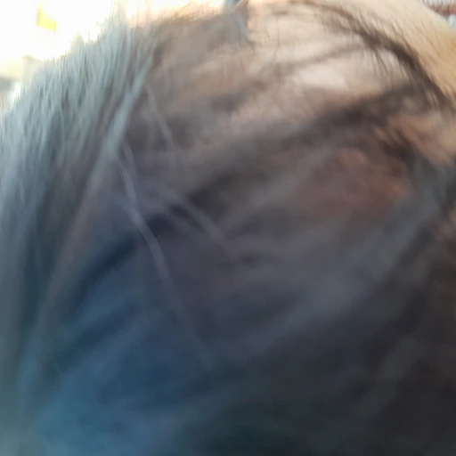 최민혜