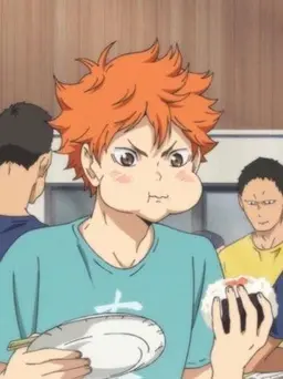 Profile image of Hinata Shoyo