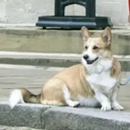 Profile image of サンディー