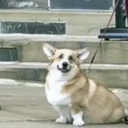 Profile image of ミック