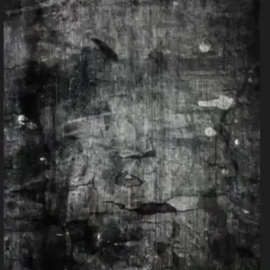 Profile image of 박서인