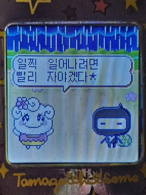 Konti_ya_fioti_ya_Stella의 담배🚬 (꽥꽥 탐험대)