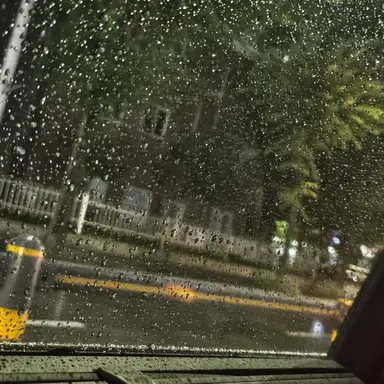 Profile image of 권수녕