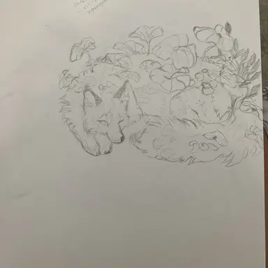 Profile image of Amani