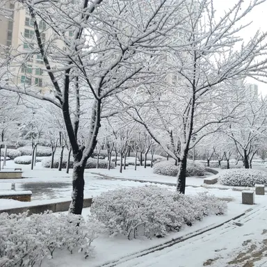 Profile image of 독감바이러스