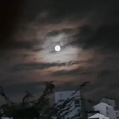 Profile image of 로퍼