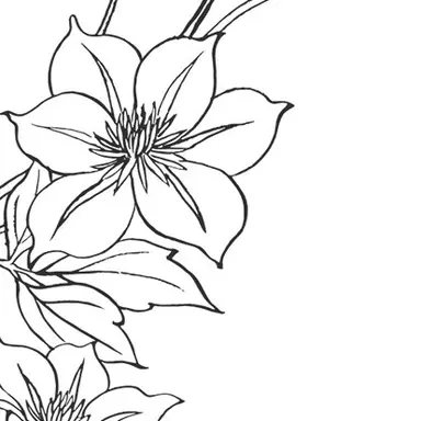 Profile image of 5軍