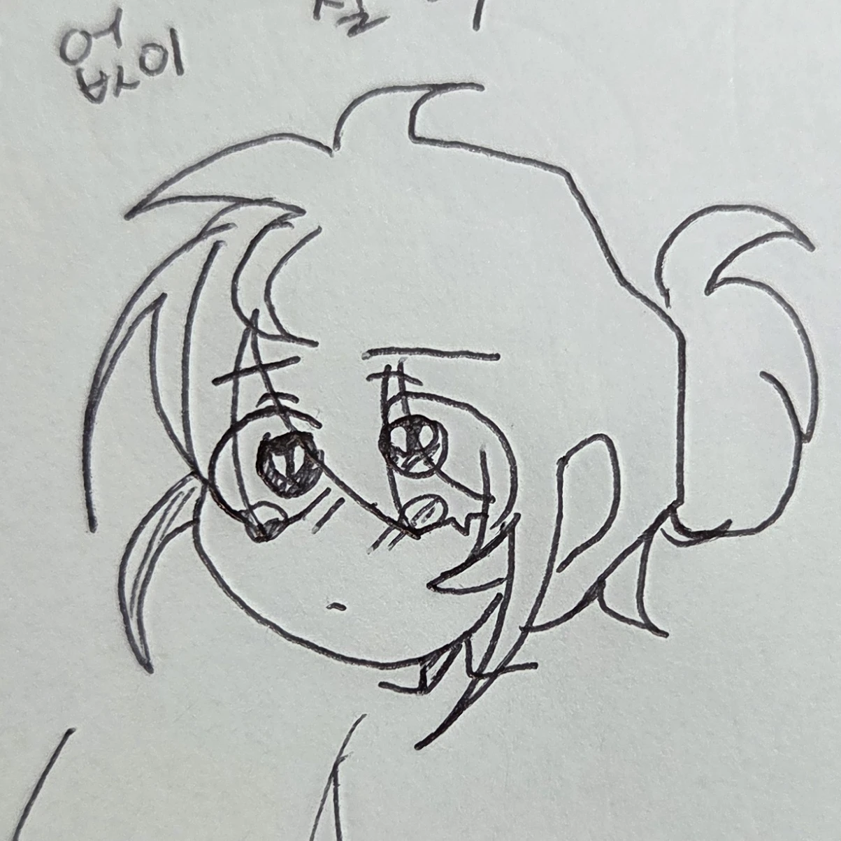 북