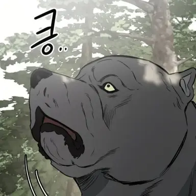 Profile image of 강산이