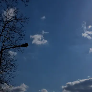 Profile image of 김민우