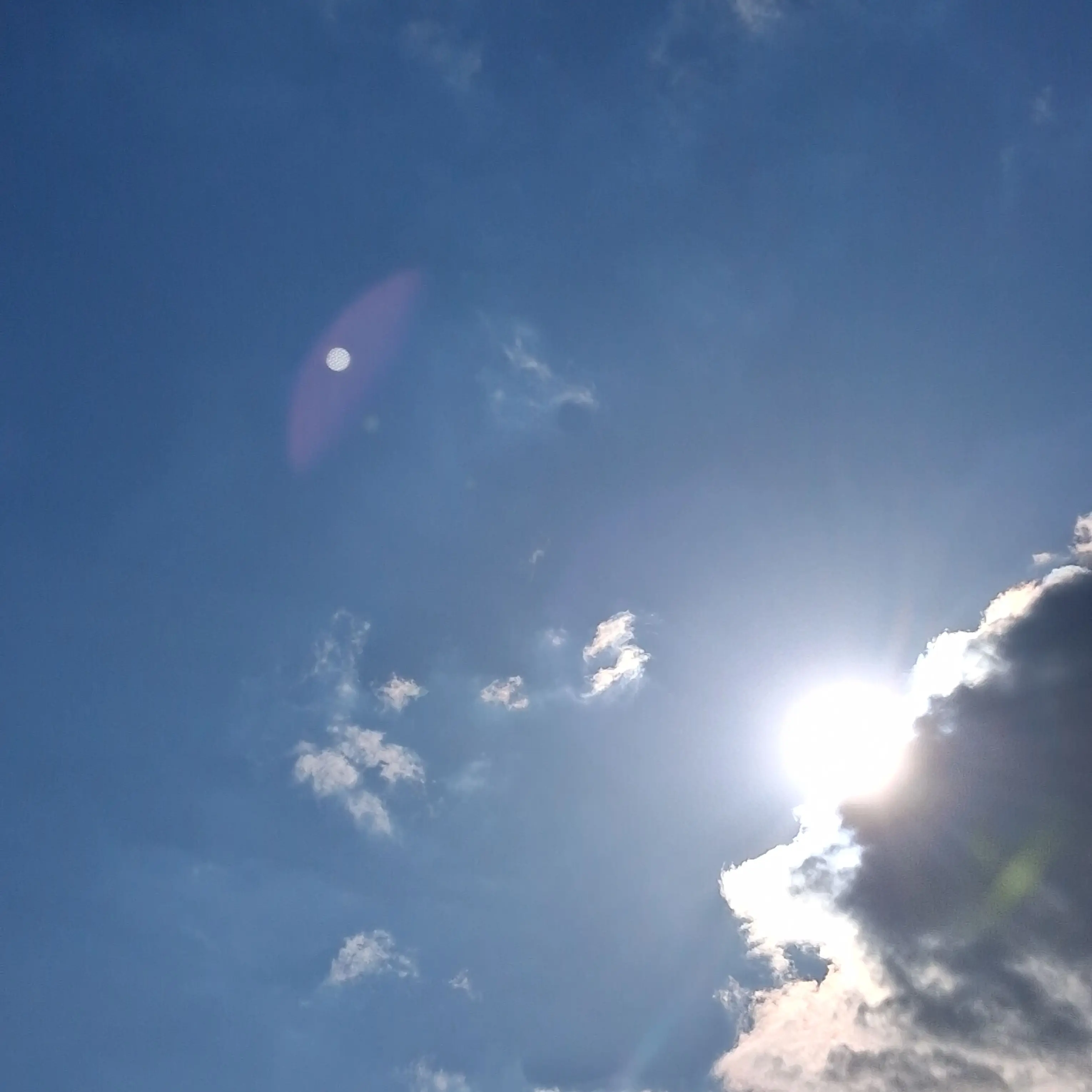 OverlySleet1590의 김여우가 날 죽여서 환생했다💔