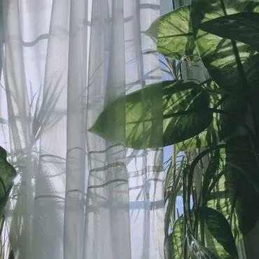 Profile image of 오뉴