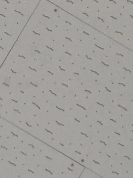 BluntFog6238의 개인용