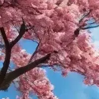 StaleRaw4612의 Ranked Magic School