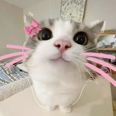 Profile image of 여우