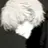차수현