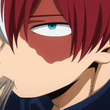 Profile image of Shoto Todoroki