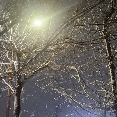 Profile image of 조우찬