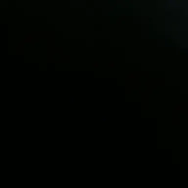 Profile image of 토비 폭스