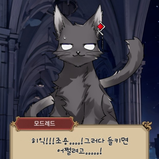 모드레드 대표 이미지