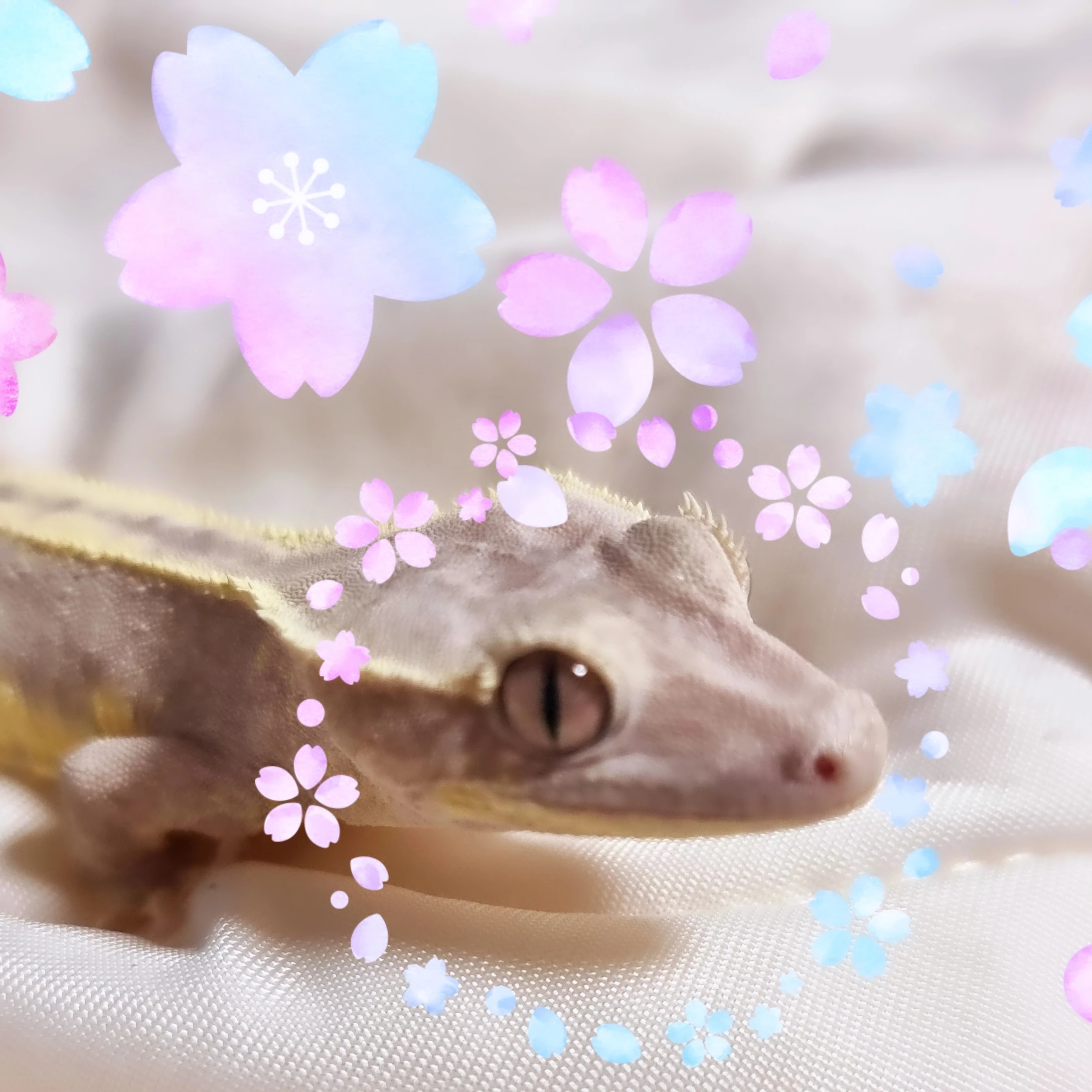 주인장