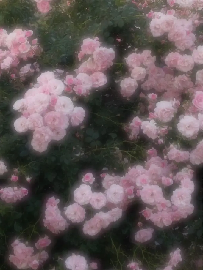 meleru111111의 僕 は 欲 し い  君 が 好 き ．
