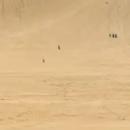 WavyKnee4144의 政略結婚相手は元彼！？