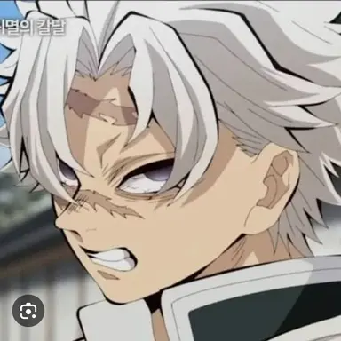 Profile image of 시나즈가와 사네미