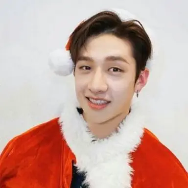 Profile image of Bang chan