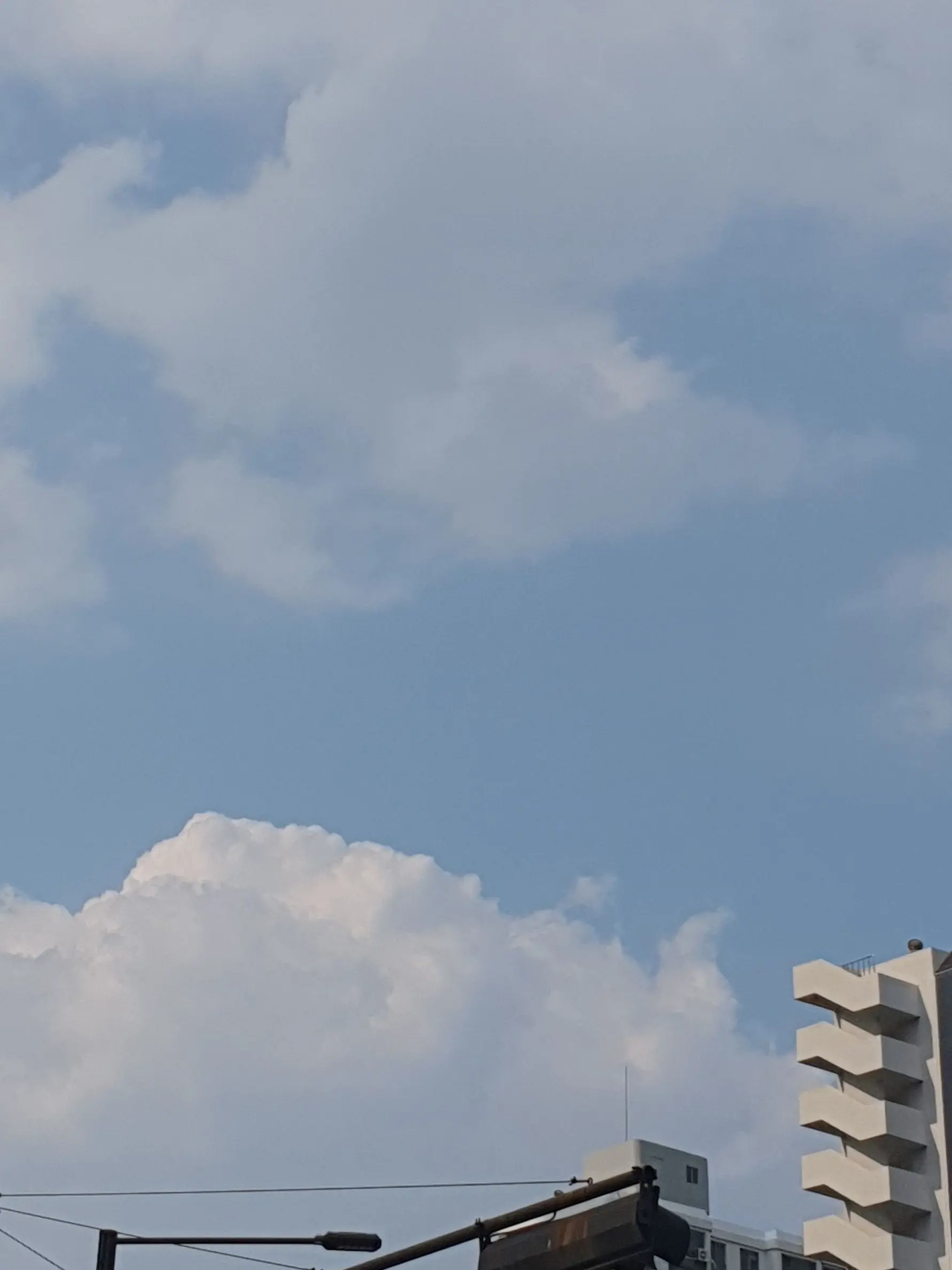 LeafyDecal0906의 지각