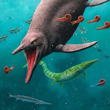 Profile image of 해양생물