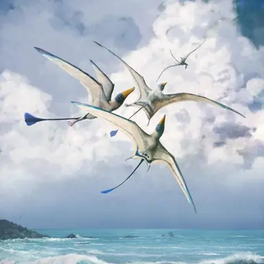 Profile image of 익룡