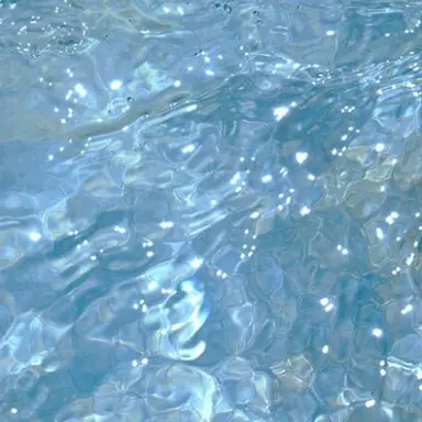 Profile image of 싸이클