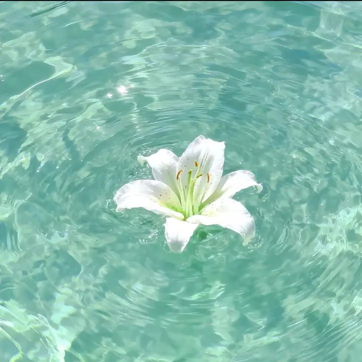 Merong2926의 꿈의 악마