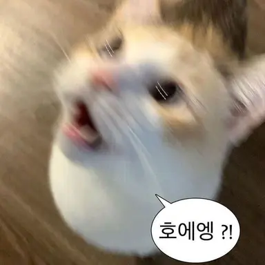 Profile image of 이영서