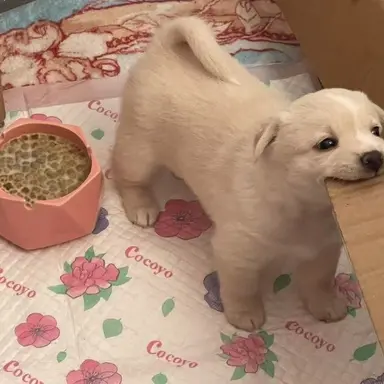 Profile image of 조우찬