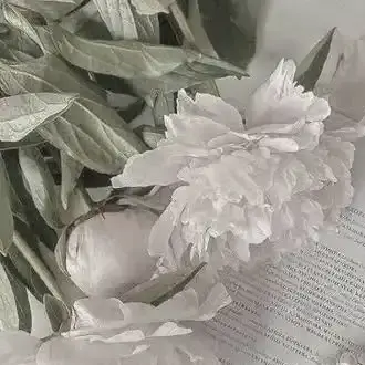 Profile image of 草壁 友也