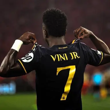 Profile image of Vinicius Jr.