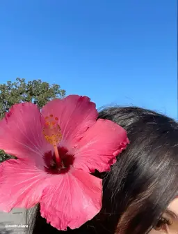 Profile image of Sofie Reyes