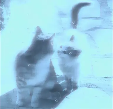 Profile image of 카나에