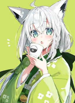 Profile image of フブキ