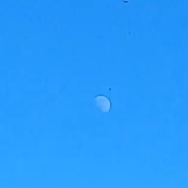 Profile image of 1일전ㅠㅠ